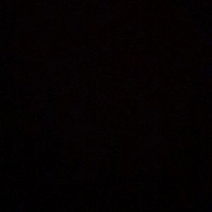 Meet your Posher, Shea